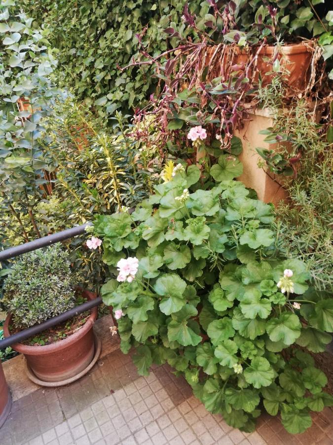 Tra Gianicolo E Trastevere Bed and breakfast Roma