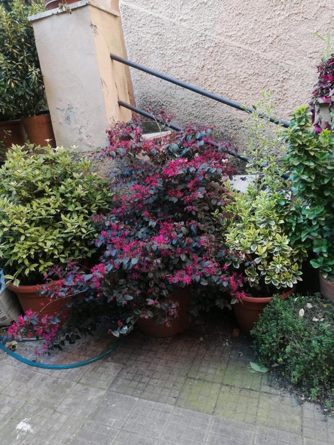 Frühstückspension Tra Gianicolo E Trastevere
